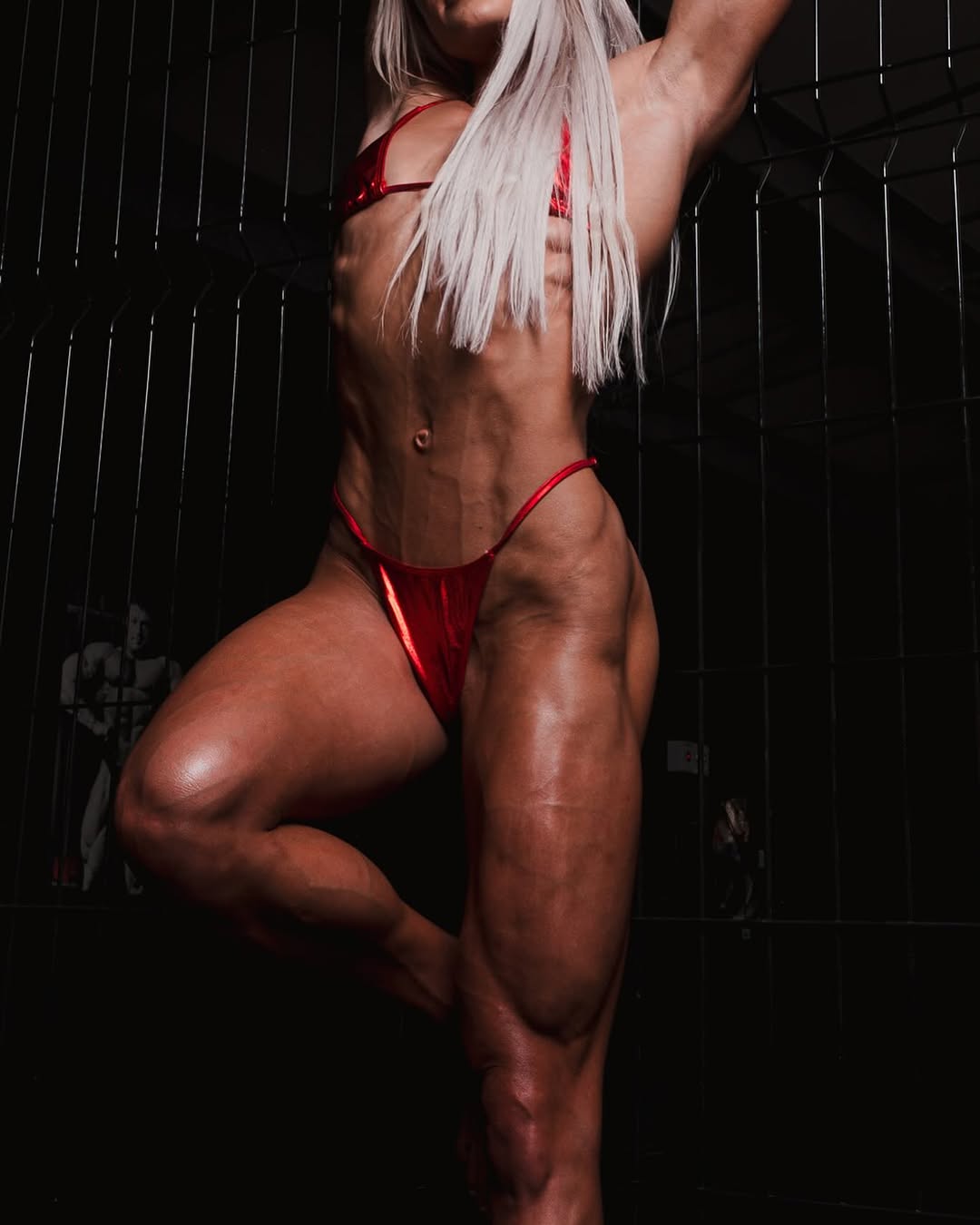 Scarlett Wilson (scarlett_ifbbpro)