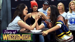 Brianna Monique Garcia-Colace (Brie Bella)